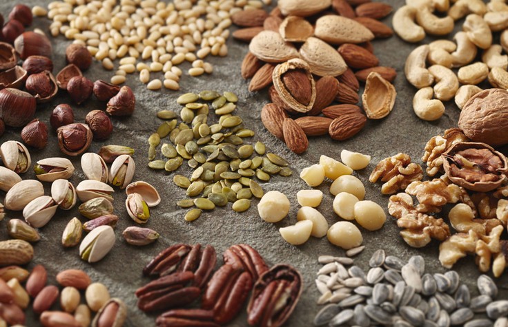 Seed & Nuts Industry